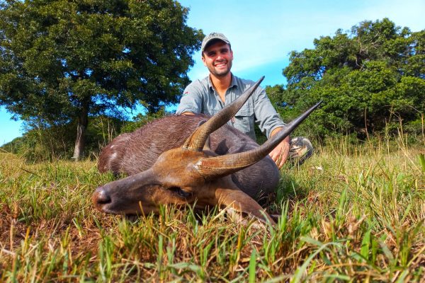 Doornrivier Safaris Bushbuck