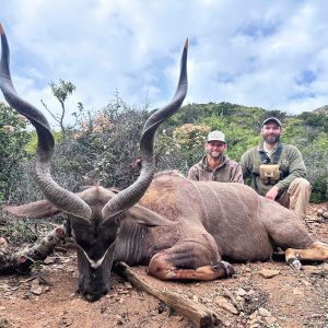 Doornrivier_Safaris_Cape_Kudu