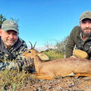 Doornrivier_Safaris_steenbuck.