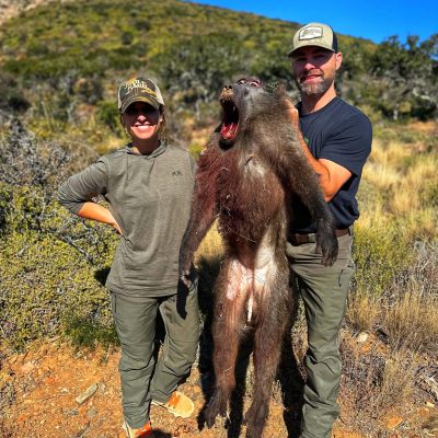 Doornrivier_Safaris_Baboon