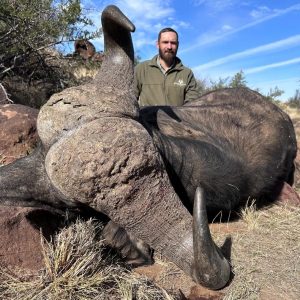Buffalo DoornrivierSafaris
