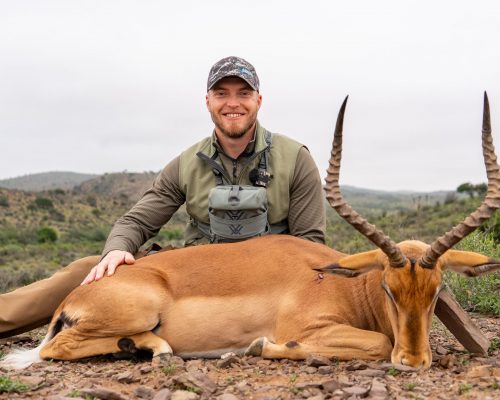 Impala Doornrivier Safaris