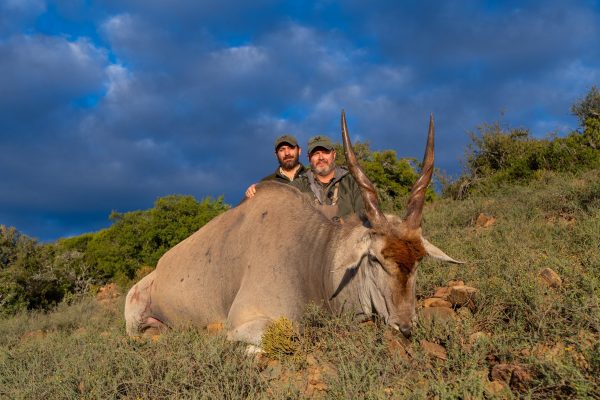 Eland_Doornrivier_Safaris