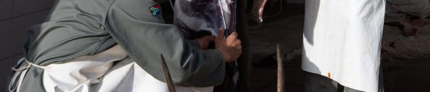 Caping Doornrivier Safaris