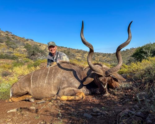 Cape kudu | Doornrivier Safaris
