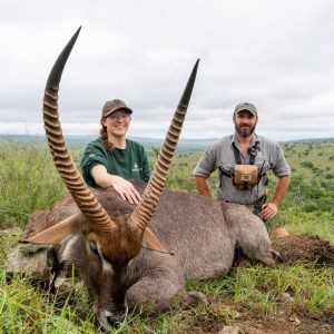 Doornrivier Safaris Waterbuck