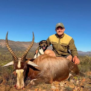 Doornrivier Safaris Blesbuck