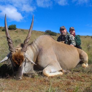 Doornrivier Safaris Cape Eland