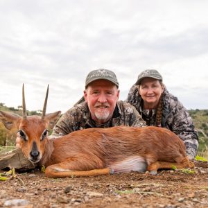 Doornrivier Safaris Steenbuck