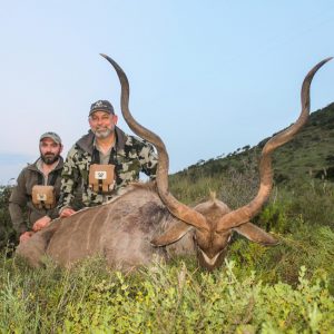 Doornrivier Safaris Cape Kudu
