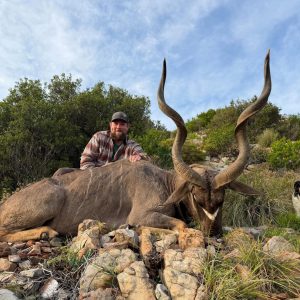 Doornrivier Safaris Cape Kudu