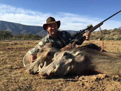 Warthog_Doornrivier_Safaris