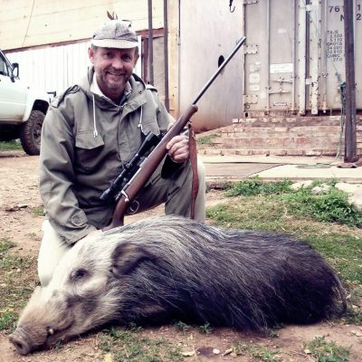 Bushpig Doornrivier Safaris