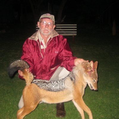 Black backed jackal Doornrivier Safaris