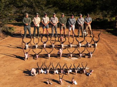 Trophy Care Doornrivier Safaris